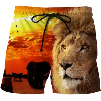 Летние мужские шорты с 3D-принтом с изображением огненного тигра / льва, быстросохнущие шорты для плавания, повседневные пляжные брюки оверсайз, Трендовая мужская одежда